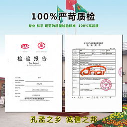 數(shù)字浪潮下的產(chǎn)品新生——公司某產(chǎn)品互聯(lián)網(wǎng)宣傳與銷(xiāo)售策略解析